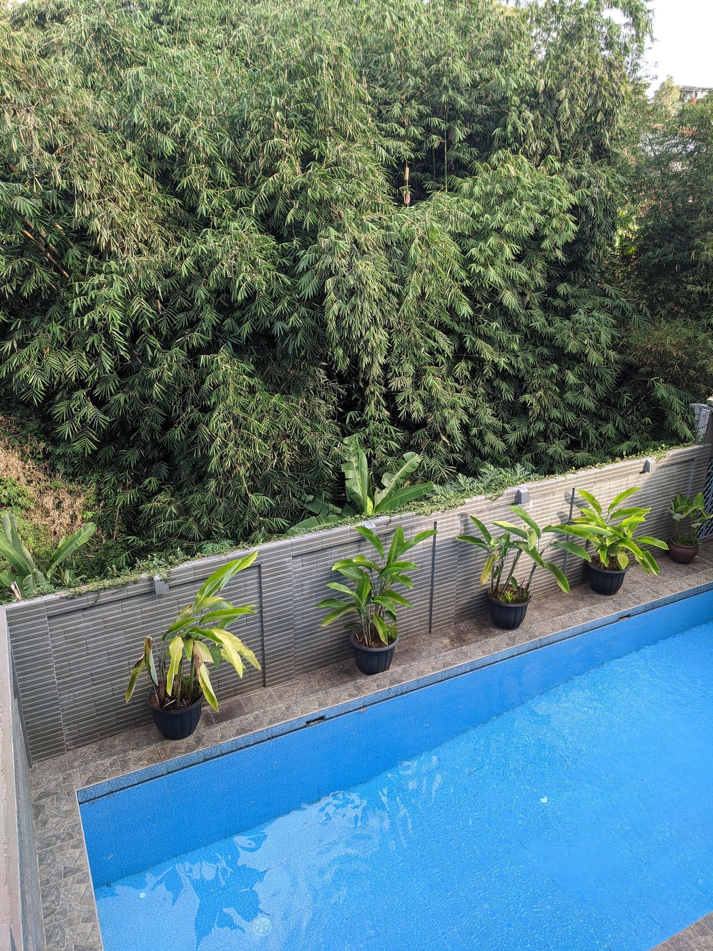 Villa Tirta29 Syariah 4 BR, Private Swimming Pool, Family Only - Sewa Villa di Bandung
